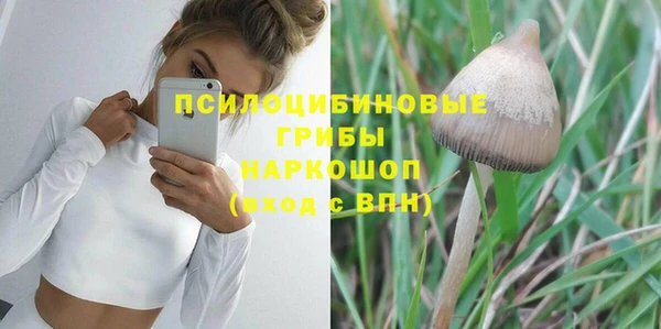 PSILOCYBIN Осташков