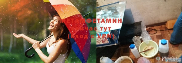 PSILOCYBIN Осташков