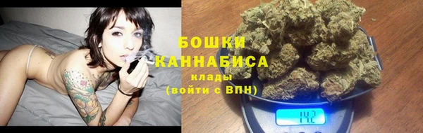 PSILOCYBIN Осташков
