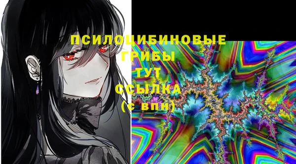 PSILOCYBIN Осташков