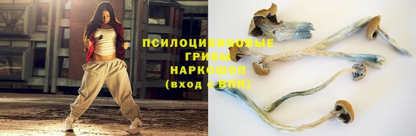 прущие грибы Остров