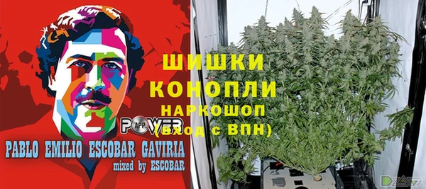 прущие грибы Остров
