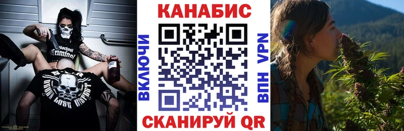 Бошки Шишки планчик  Купить где  Таруса 
